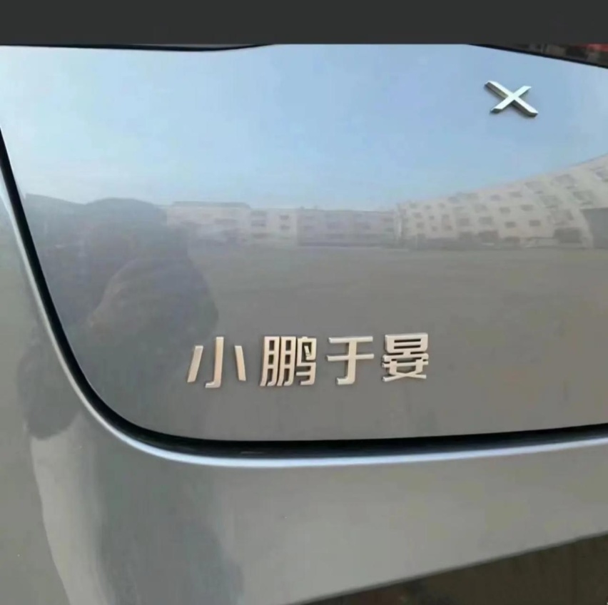 车主们的精神状态不错，爆改车尾标识，各式各样全是“整活”