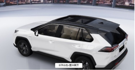 全新丰田RAV4荣放全系颜色详解！本月上市