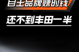 自主品牌赚的钱还不到丰田一半？这账太扎心！