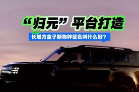 “归元”平台打造 长城方盒子新物种征名叫什么好？