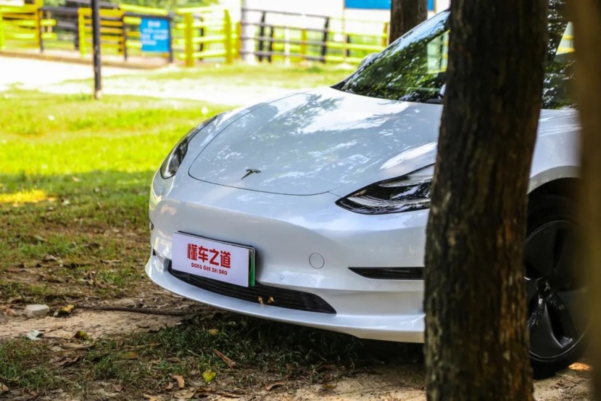 懂车之道试车：国产特斯拉Model 3，我和你们真不一样