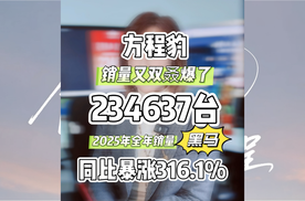 方程豹销量又双叒爆了234,637台2025年全年销量同比暴涨316.