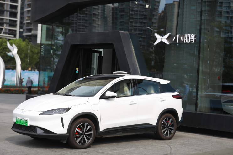 “鹏”不一定从远方来 还有可能是出行