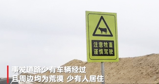 “谢大脚”车祸身亡,全景天窗真不安全?