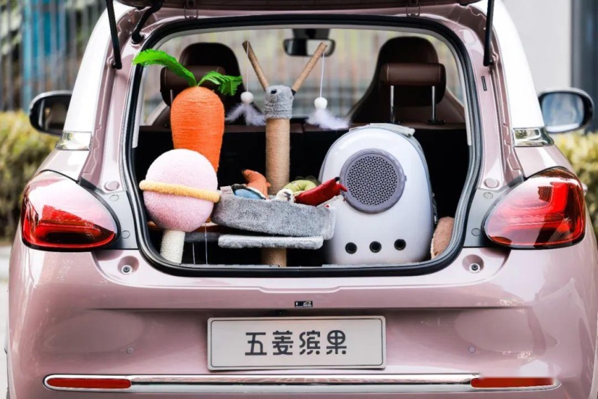 甜蜜的味道，品尝小而美的缤果丨新车