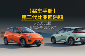 【买车手册】第二代比亚迪海鸥上市，6.59万元起，五款版型怎么选？