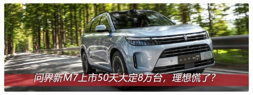 MEGA“出师未捷”，L6能否坚定扛起大旗？
