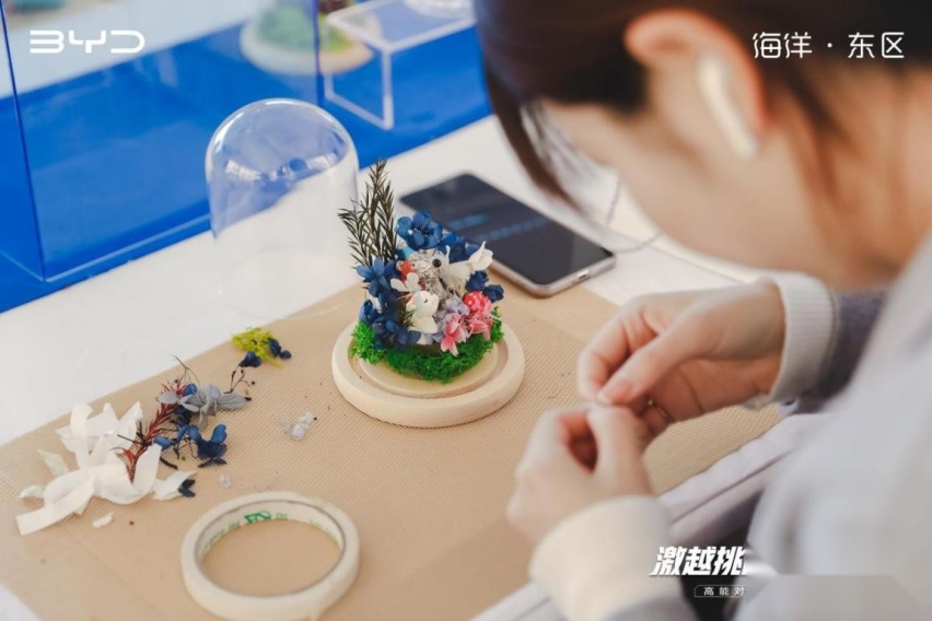 比亚迪海洋网高能对比试驾会杭州站，见证领潮实力