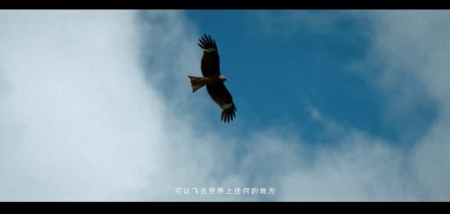 图片12.png