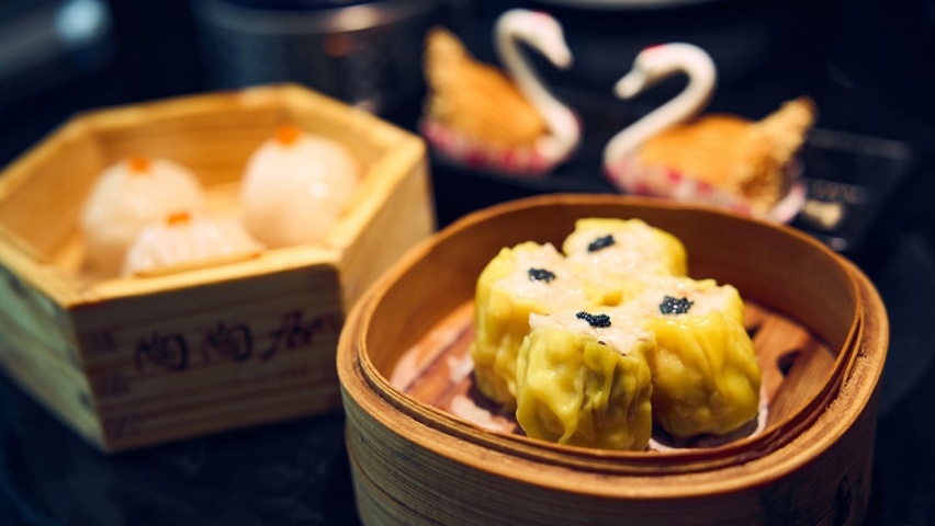 和ARIYA艾睿雅一起吃遍大湾区！放心且踏实，不虚此行！