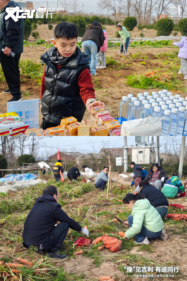 “豫” 见吉利 有道同行 河南有道集团爱心助农公益行动