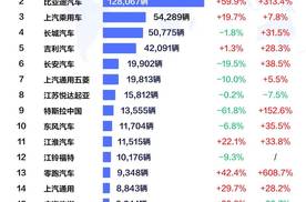 比亚迪11月乘用车出口激增，全球市场表现亮眼，多国销冠全面超越