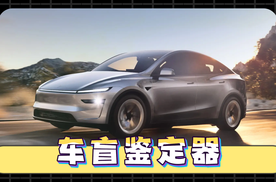 特斯拉Model Y L，车盲鉴定器
