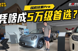 5万级纯电代步小车首推！缤果Pro为何值得买？只聊干货
