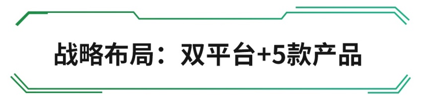 顶配不到20万，6款车型可选，带透明A柱的全新SUV上市了！