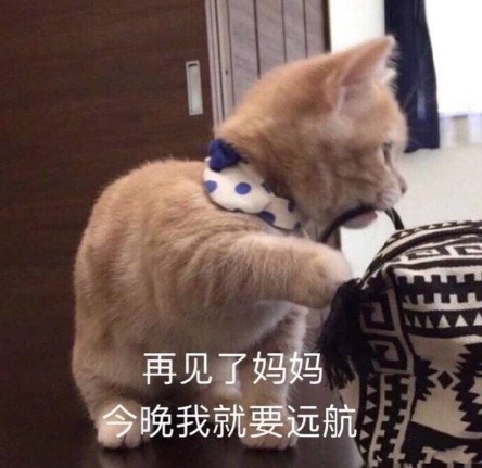 不服不行！吉利星瑞这波怎么这么绝！
