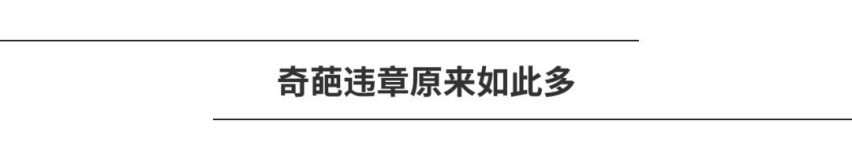 开车上路还能遛狗，究竟有哪些奇葩的交通违章让人毁三观？