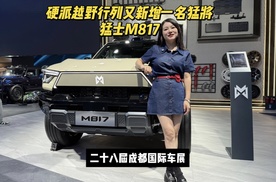 硬派越野行列又新增一名猛将“猛士M817"