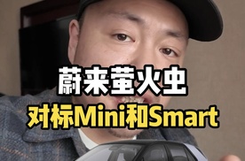 蔚来萤火虫，前备箱能养鱼，对标MINI和smart