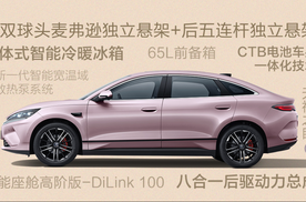 劈弯不晕车、爆胎能稳行 秦L EV云辇型给同级车上强度