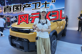 “真国产卫士”来了！风云X3L的底气在哪？