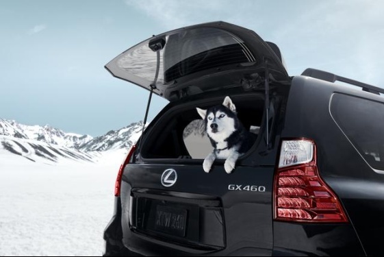 或搭4.6L V8发动机，雷克萨斯全新GX 460官图发布