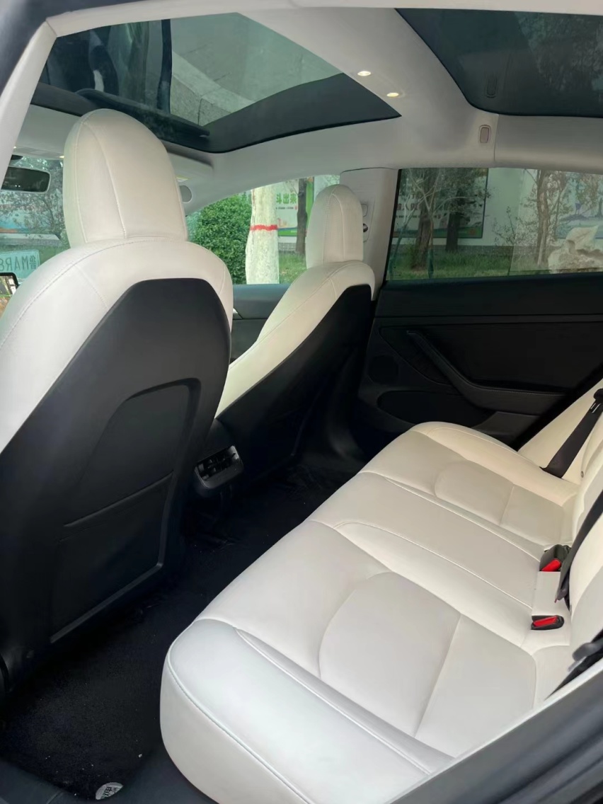 特斯拉Model 3：电动时代的先锋与革命者