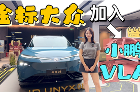 这次金标大众加入了小鹏的VLA！