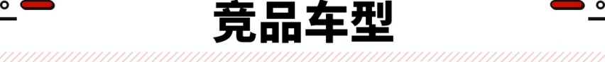 奥迪Q6来了！尺寸更大 搭载进口发动机预售50万起！