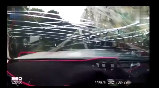 “良心车”品质+五心服务 东风标致守护用户出行安全