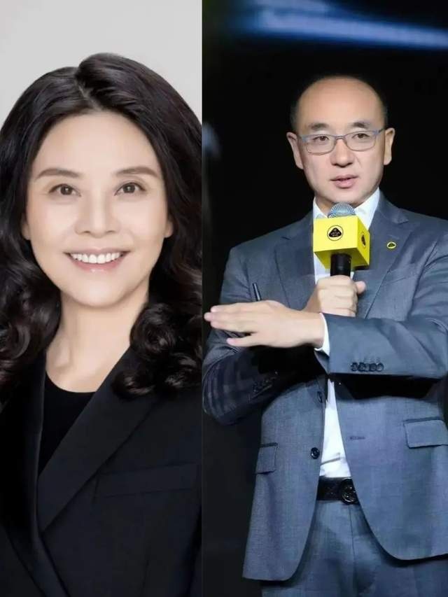 路特斯的复兴梦,此前万事俱备只差一个毛京波?