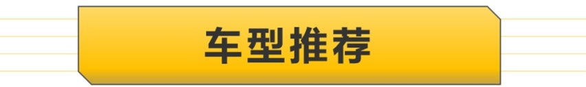 【帮你选车】尊贵版性价比最高，明锐PRO购车手册