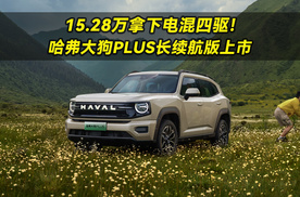 15.28万拿下电混四驱！哈弗大狗PLUS长续航版上市