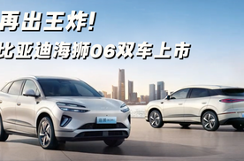 比亚迪再出王炸！海狮06EV/海狮06DM-i双车上市
