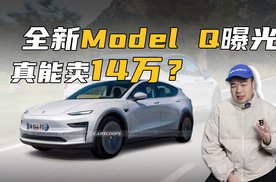 想买特斯拉的再等等！全新Model Q要来了，比Model 3更便宜？