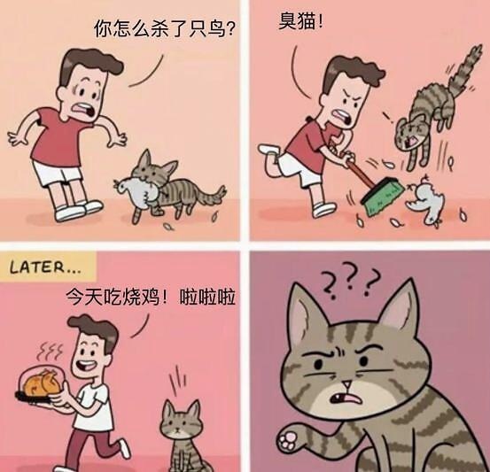 一台车两个车标，这三款车不仅仅体现与众不同