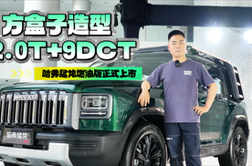 方盒子造型 2.0T+9DCT 哈弗猛龙燃油版正式上市