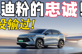 31%车主重购比亚迪！高于其它品牌几倍水平