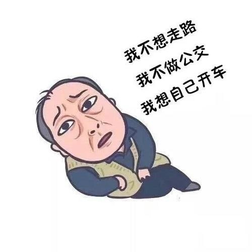 以前选车看五行 金九银十选车看星座（中）