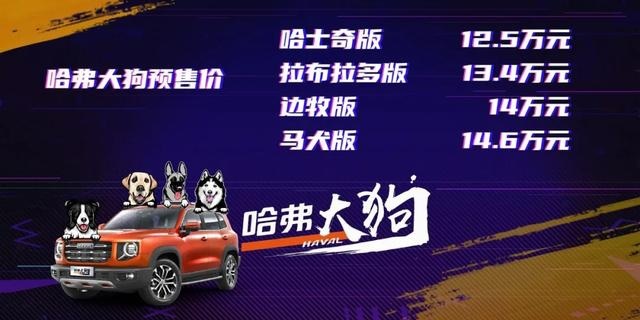 哈弗大狗12. 5万元起，买“二哈”还是“边牧”？