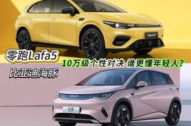 10万级个性对决，零跑Lafa5与比亚迪海豚谁更懂年轻人？