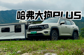 10w+性价比如何？ 试大狗PLUS
