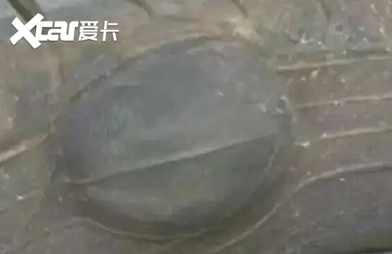 轮胎鼓包了可以修复吗