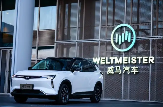 致威马车主：即便是存亡之秋，你永远叫不醒装睡的威马