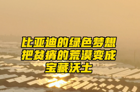 比亚迪的绿色梦想，用技术让荒漠变沃土、石山出绿电！