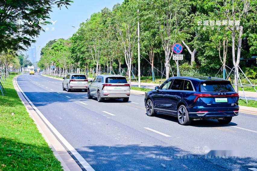 深度体验魏牌蓝山DHT-PHEV，深圳龙华最高补贴1.8万元