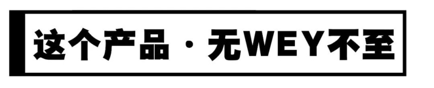 WEY x 父亲节：走出一条不一样的“营销花路”