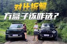 方盒子SUV，哈弗猛龙燃油版和捷途旅行者谁更顶？