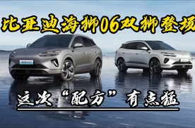 比亚迪海狮06双狮登场，这会“配方”有点猛