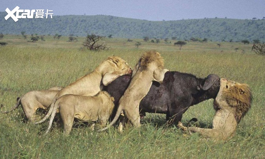 客观来看,目前除了被黑得厉害的蔚来,另辟蹊径的小鹏,威马,以及走踏实